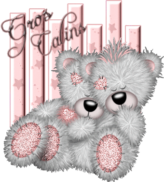 nounours calins